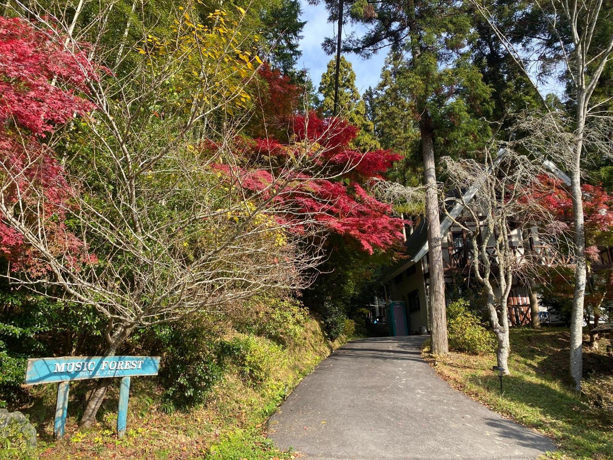 Music Forest Villa&Camp Tamba-Sasayama Exterior photo